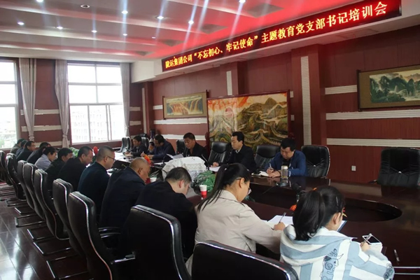 隴運(yùn)集團(tuán)公司召開“不忘初心、牢記使命”主題教育黨支部書記培訓(xùn)會